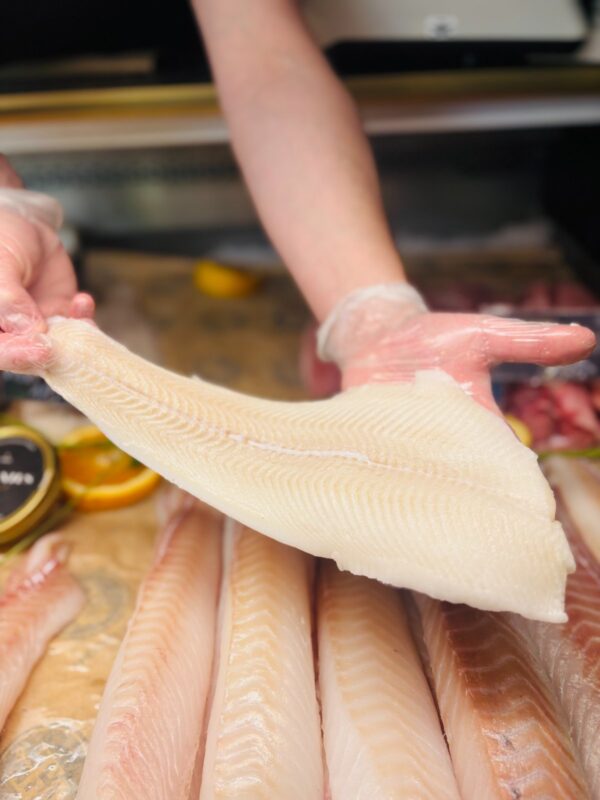 Dziki halibut filet - Islandia
