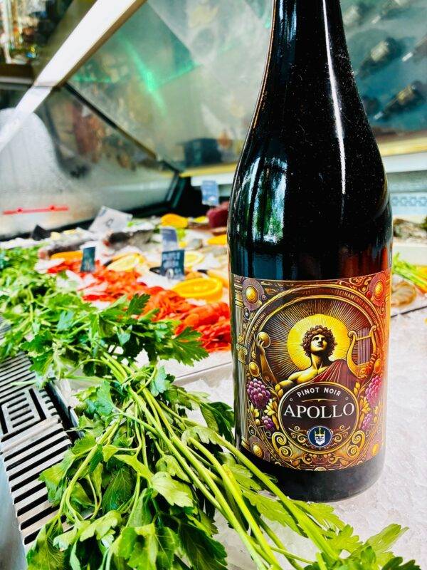 Pinot Noir - Apollo