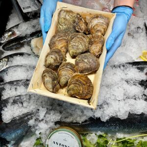 Ostryga Flat Organic – Francja