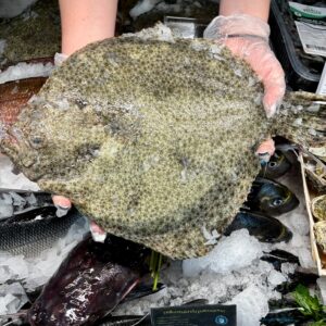 Turbot patroszony - Hiszpania