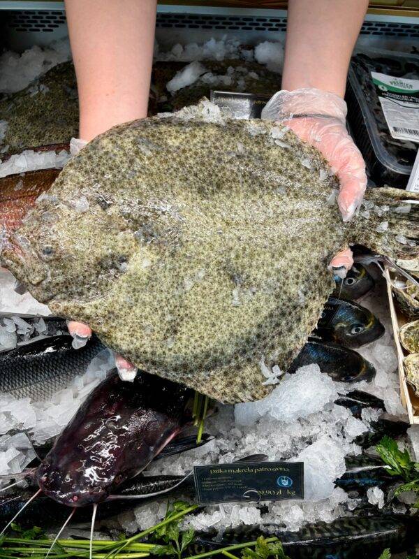 Turbot patroszony - Hiszpania