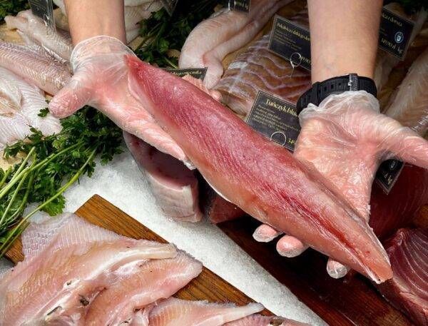 Dziki tuńczyk Albacore polędwica - Francja