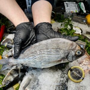 Dzika młoda dorada Francuska